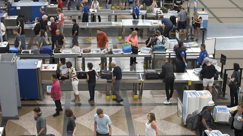 How Early Should You Arrive at a US Airport? TSA Timing Explained